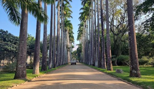 Apartment Jardim Botanico